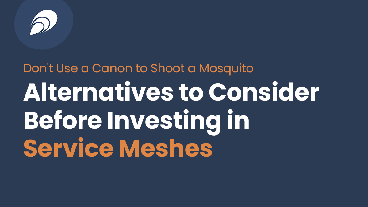 Read more about the article Alternatives to Consider Before Investing in Service Meshes