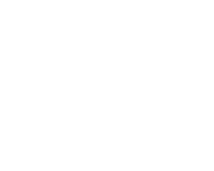 Data4Life logo in white