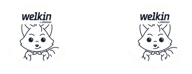 certified-welkin-platform-administrator-application-developer-carousel