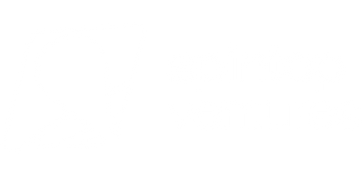 Spintop Venture logo white
